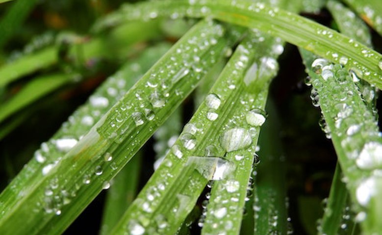 SUNTORY REFUERZA SUS COMPROMISOS CON EL AGUA PARA 2030