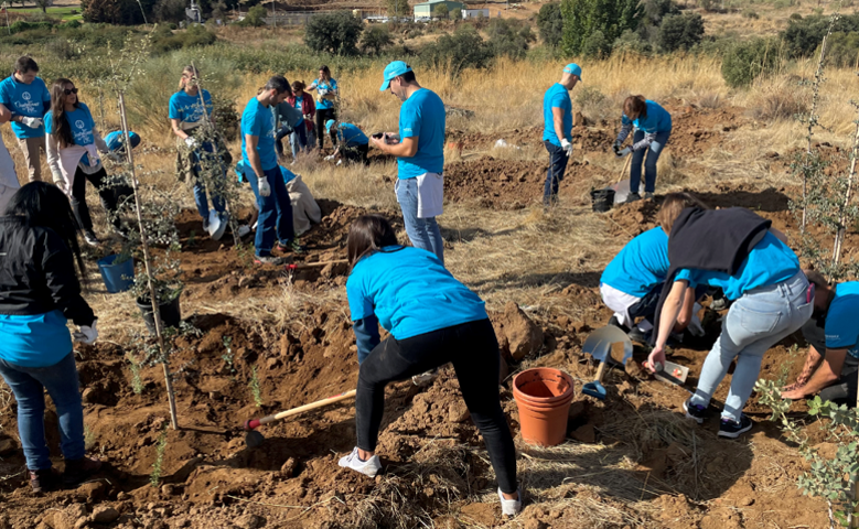 Suntory Beverage & Food Spain reforesta, a través de sus voluntariados, más de 13.600 m2 en los alrededores del Embalse de Guajaraz (Toledo)