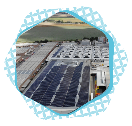 SBFE Climate Transition Plan