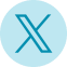 Twitter Blue