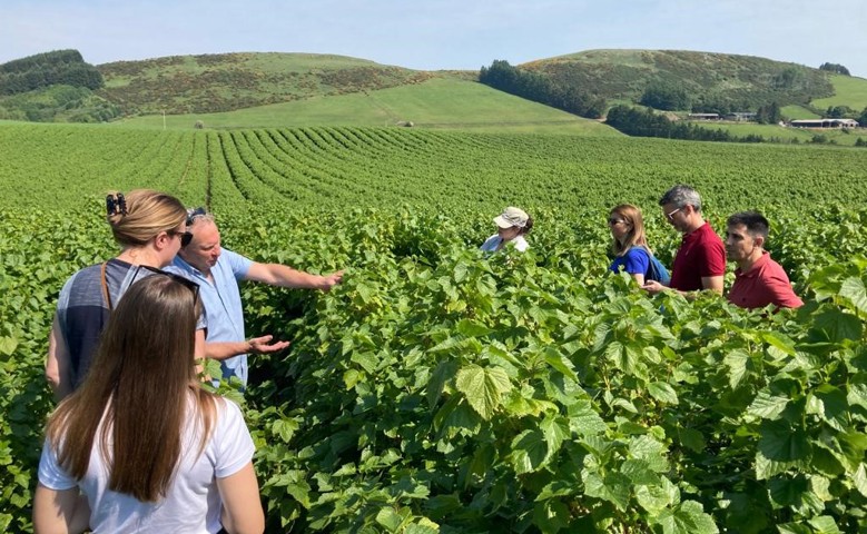 Quand le Gemba* mène au cœur de l’Ecosse pour découvrir les pratiques d'agriculture régénératrice mises en place par Suntory avec ses producteurs de cassis.